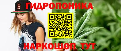 прущие грибы Мариинск