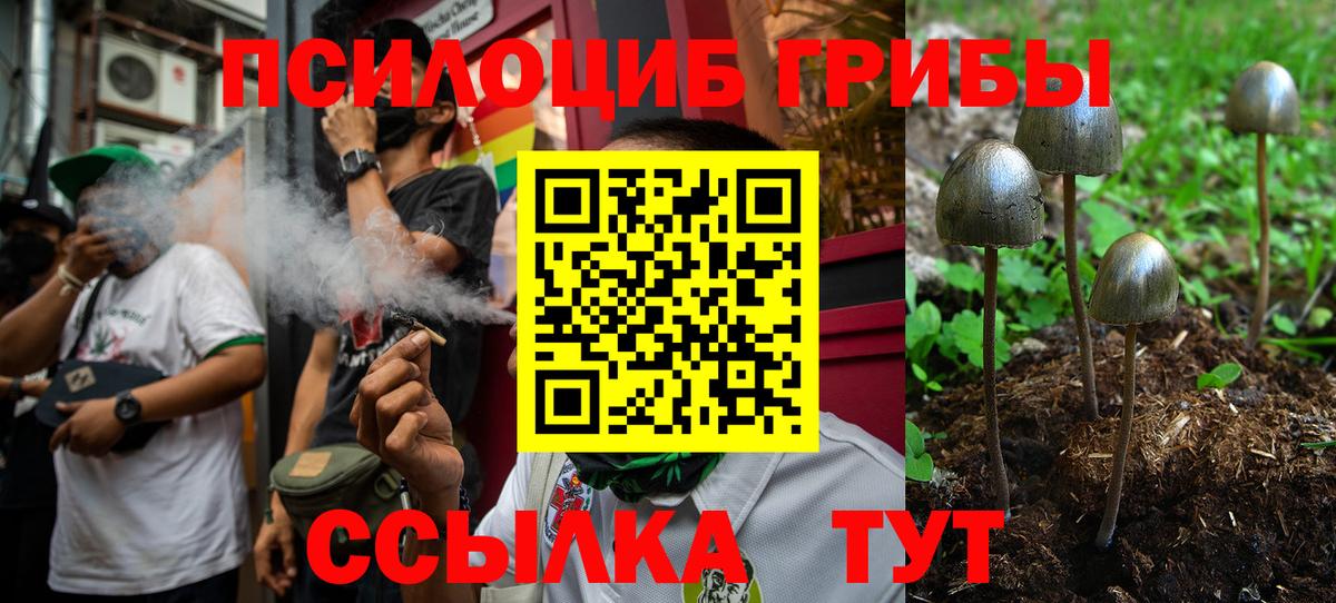Псилоцибиновые грибы мицелий Елец